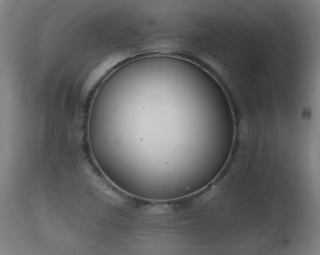 X0000110931410200906251322