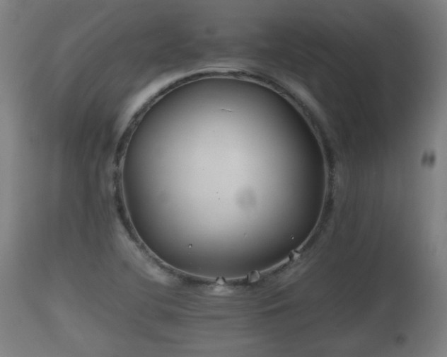 X0000110931412200906251322