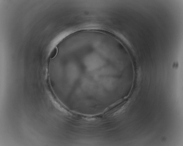 X0000110931413200906251322