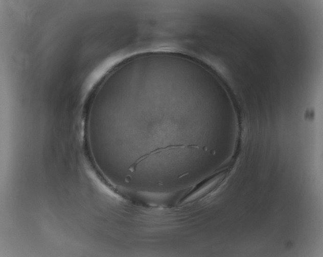 X0000110931414200906251322