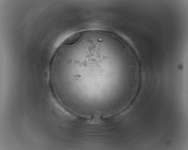 X0000110931415200906251322