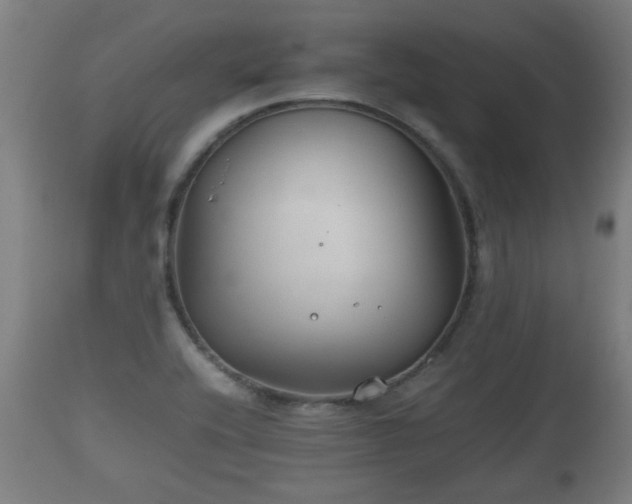 X0000110931416200906251322