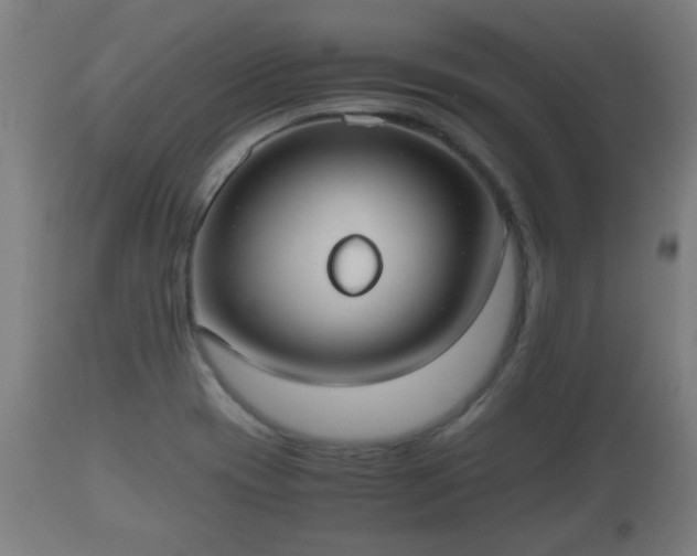 X0000110931417200906251322
