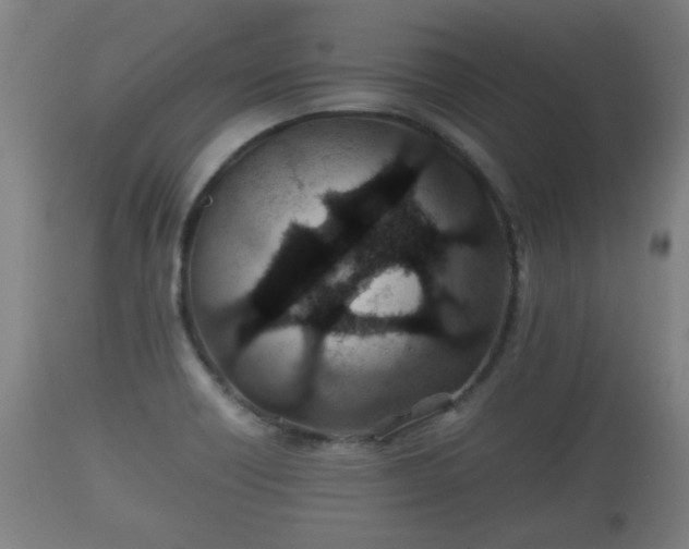 X0000110931418200906251322