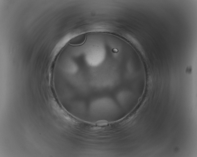 X0000110931419200906251322