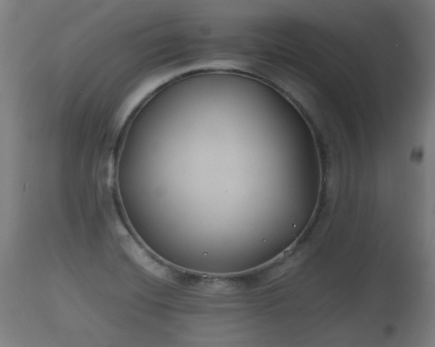 X0000110931420200906251322
