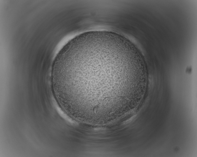 X0000110931421200906251322