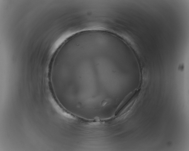 X0000110931422200906251322