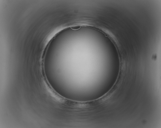 X0000110931423200906251322