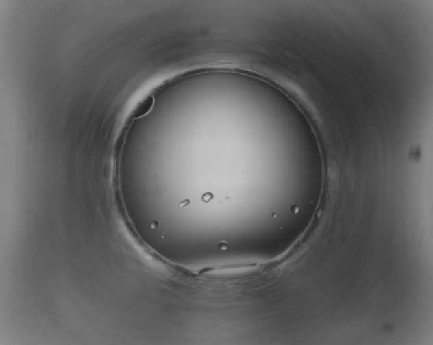 X0000110931424200906251322