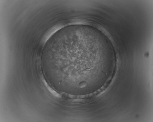 X0000110931425200906251323