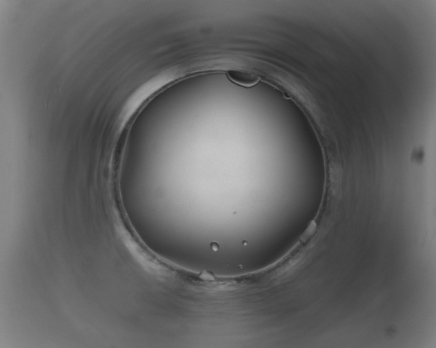 X0000110931426200906251323