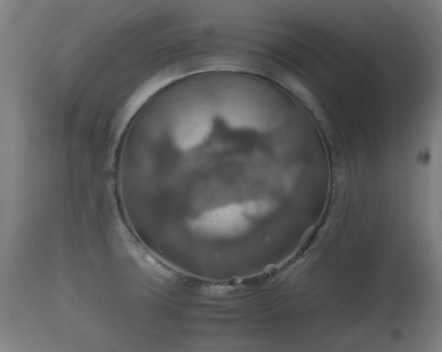 X0000110931427200906251323
