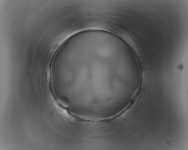 X0000110931428200906251323