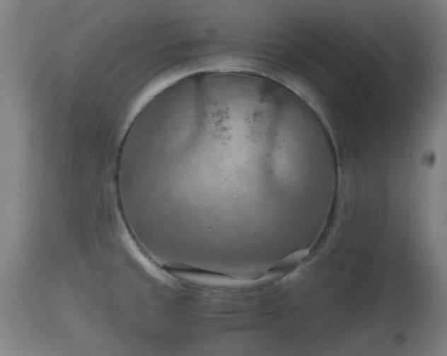 X0000110931429200906251323