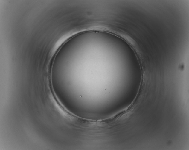 X0000110931430200906251323