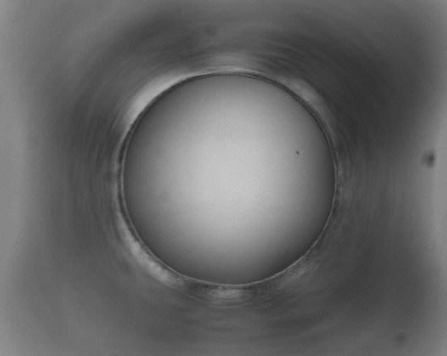 X0000110931431200906251323