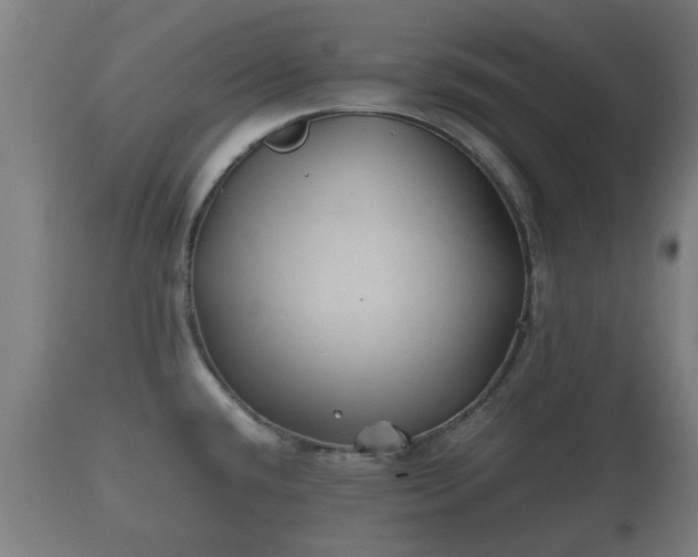 X0000110931432200906251323