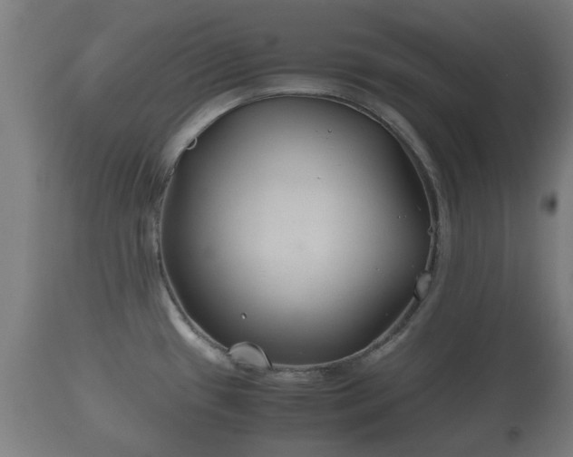 X0000110931433200906251323