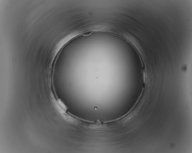X0000110931434200906251323