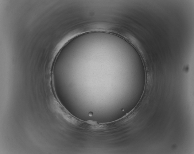 X0000110931435200906251323
