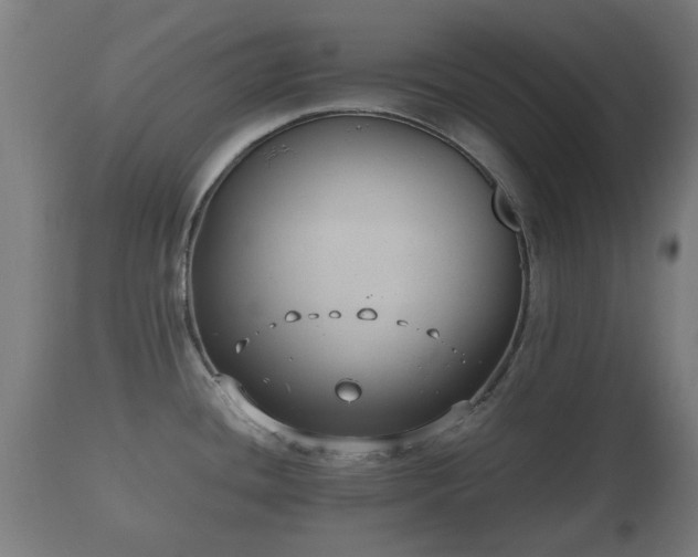 X0000110931436200906251323