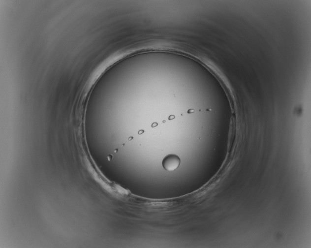 X0000110931437200906251323