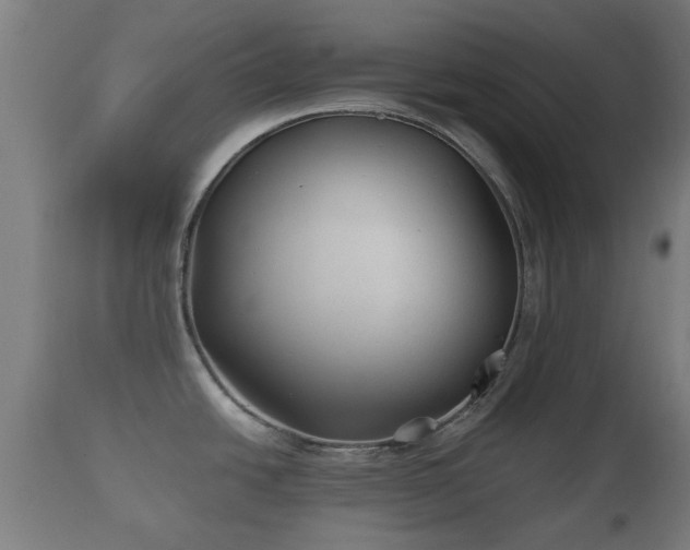 X0000110931438200906251323