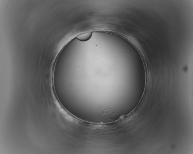 X0000110931439200906251323