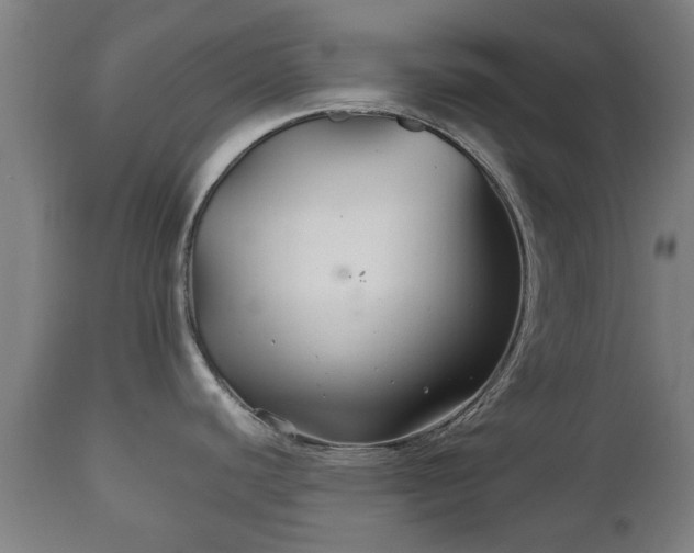 X0000110931440200906251323