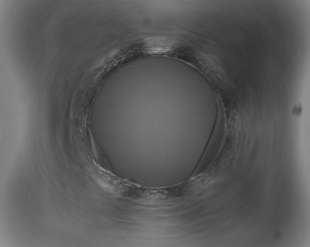 X0000110931441200906251322
