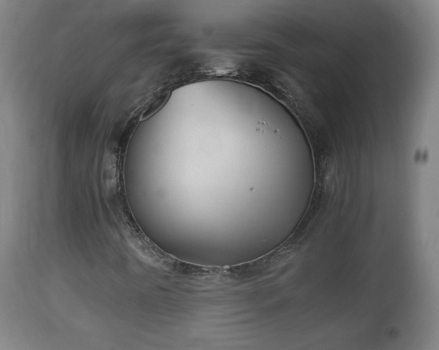 X0000110931442200906251322