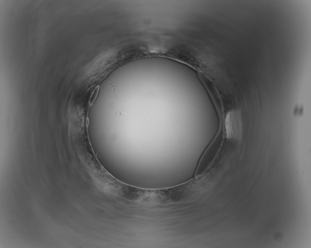 X0000110931443200906251322