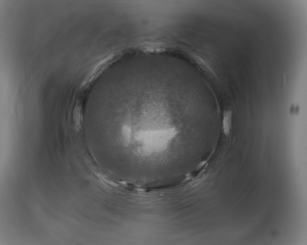 X0000110931444200906251322