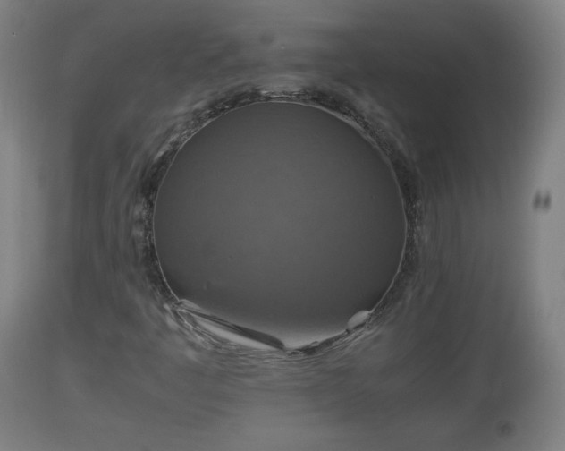 X0000110931445200906251322