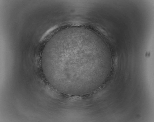 X0000110931446200906251322