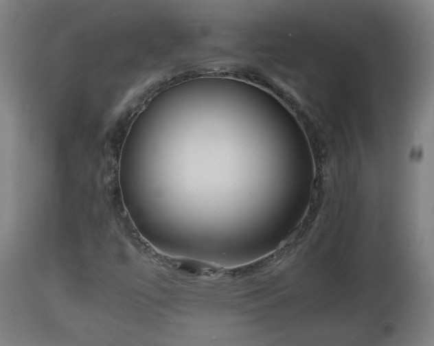 X0000110931447200906251322