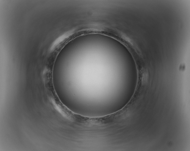 X0000110931448200906251322