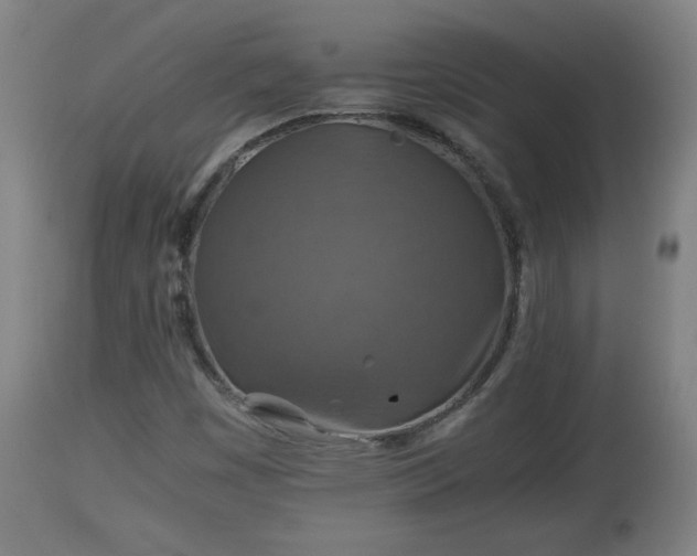 X0000110931449200906251322