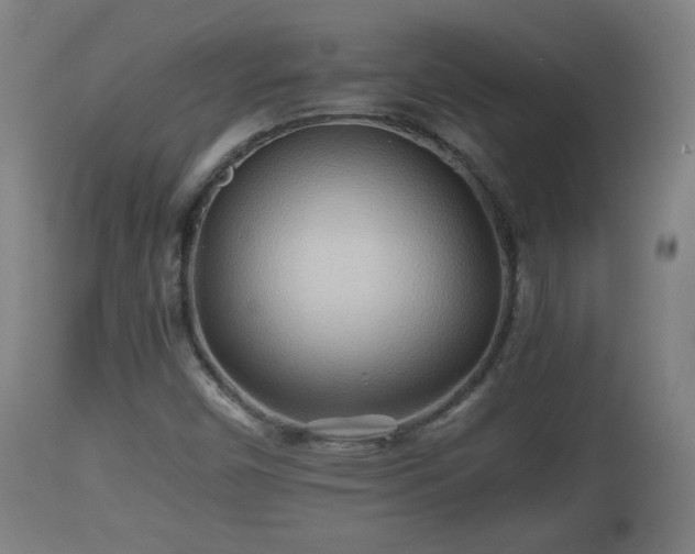 X0000110931450200906251322