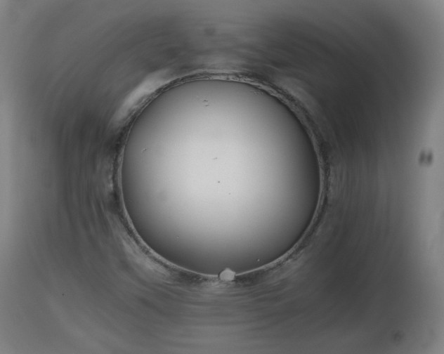 X0000110931451200906251322
