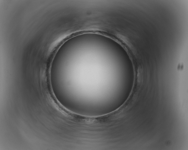 X0000110931452200906251322