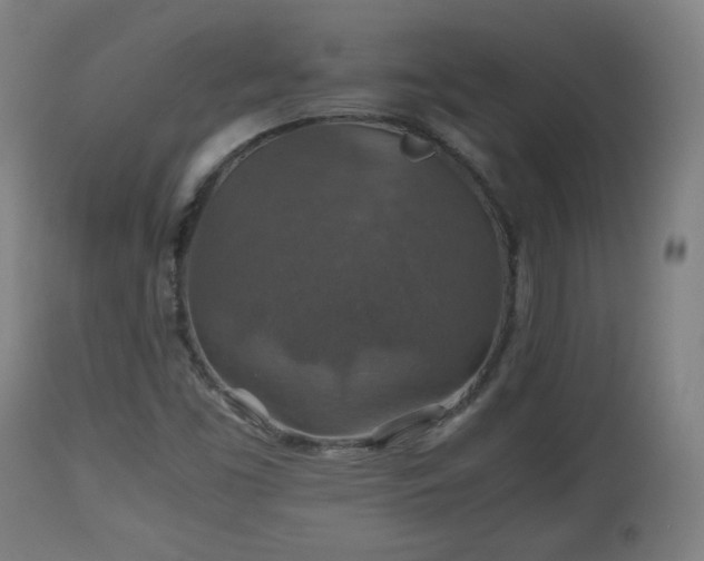 X0000110931453200906251322