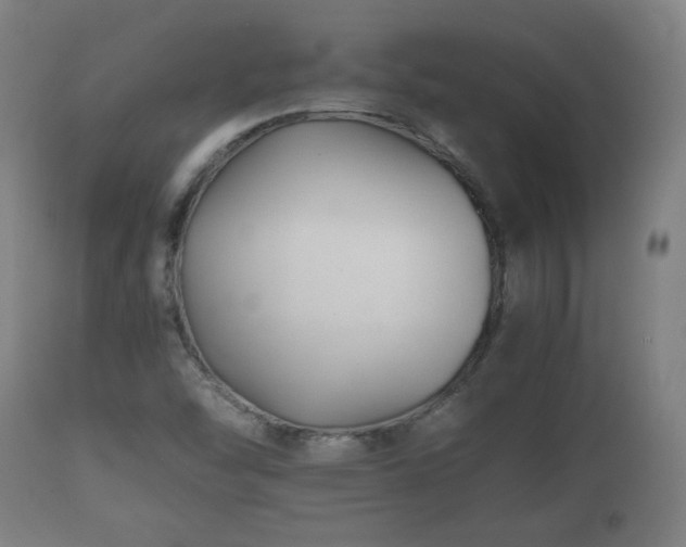 X0000110931454200906251322