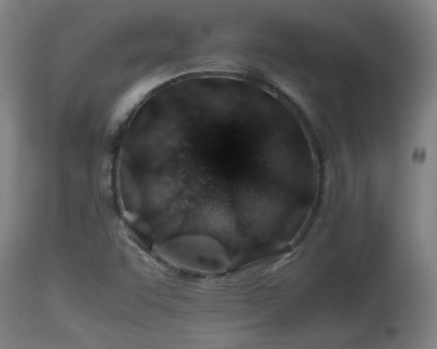X0000110931455200906251322