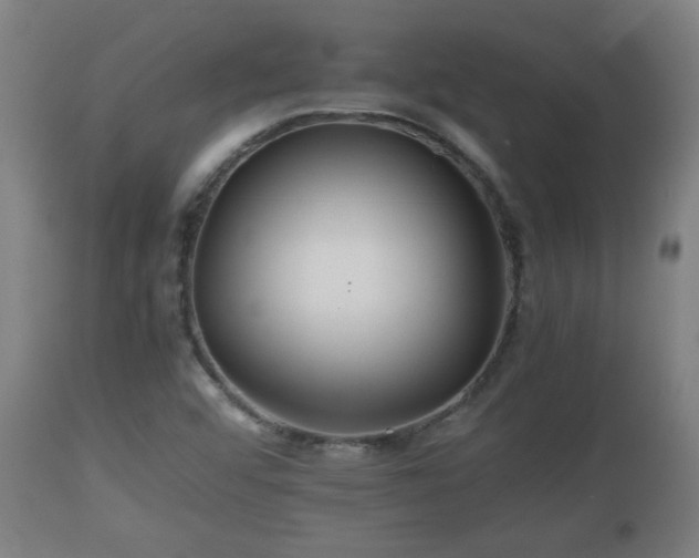X0000110931456200906251322