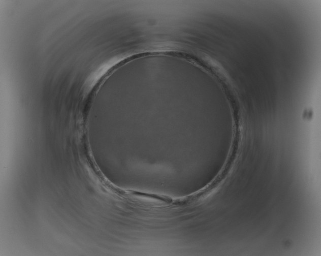 X0000110931457200906251321