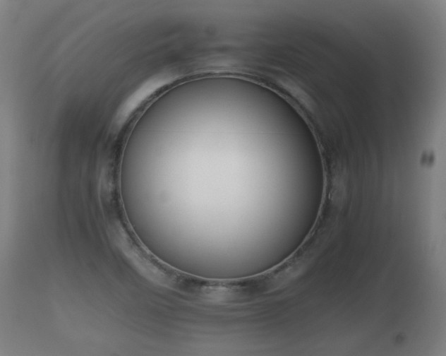 X0000110931458200906251321