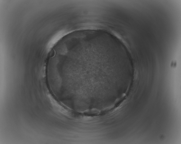 X0000110931459200906251321