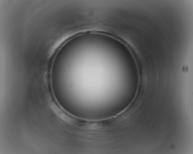 X0000110931460200906251321